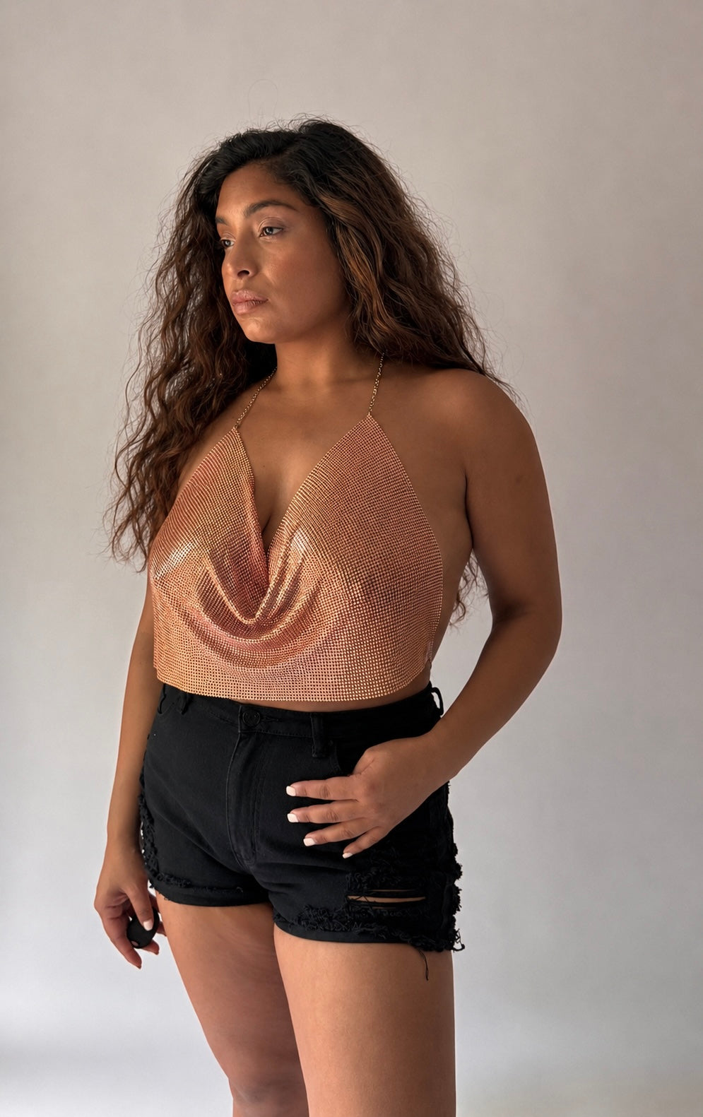 Encanto Chainmail Cowl Halter Top